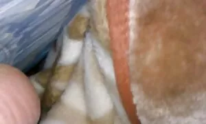 Tiếng khóc và rên rỉ được nghe trong suốt căn Nhà, không giới hạn, sex gai nhat ban đồ chơi tuyệt nhóm với khổ người đàn ông. Bê nhảy trên cặc, và thét lên. Cô gái đẹp hút màu đen và có một cơn cực khoái cho cực khoái.